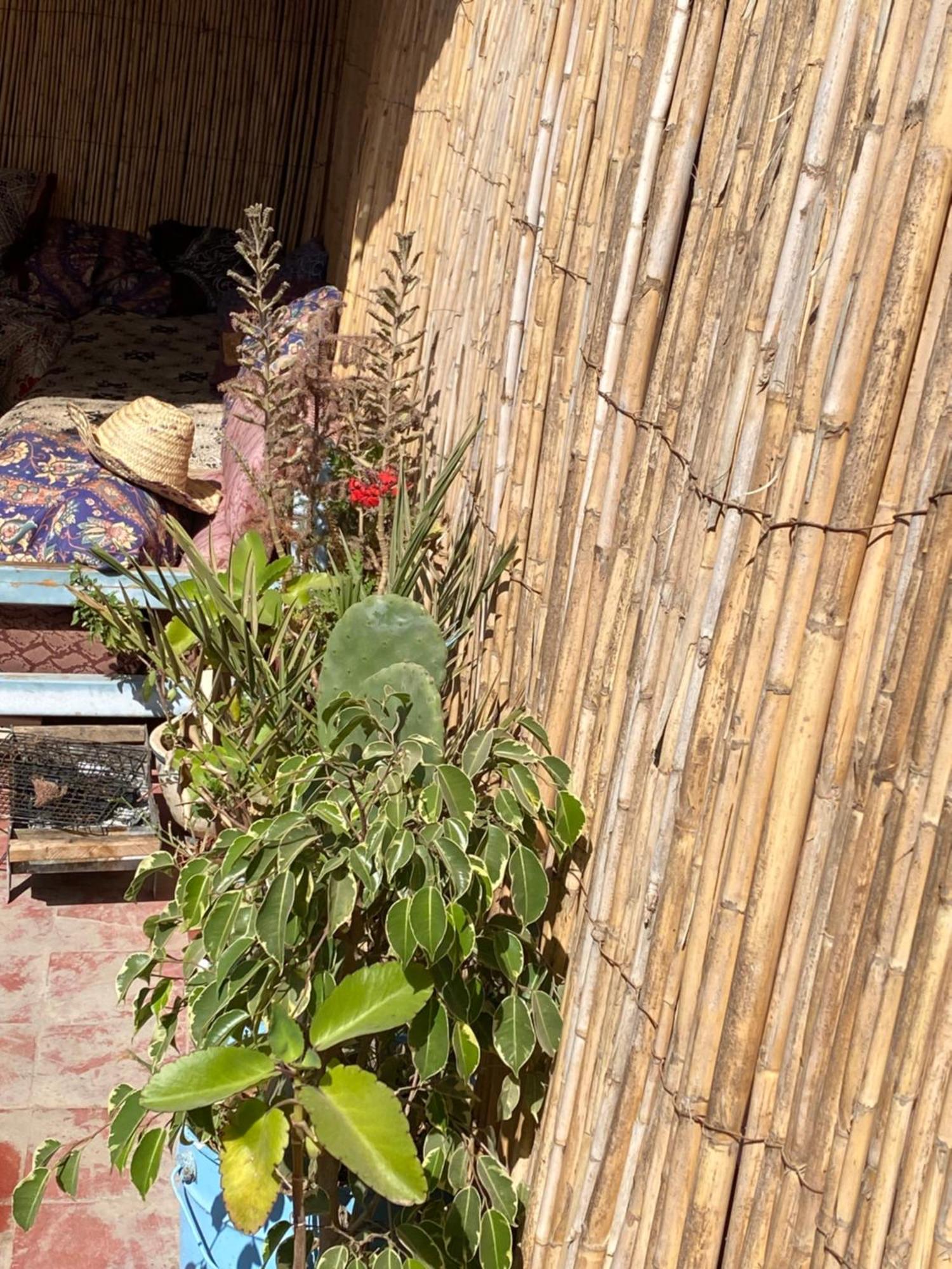 Moroccan Family House Agadir Exterior foto